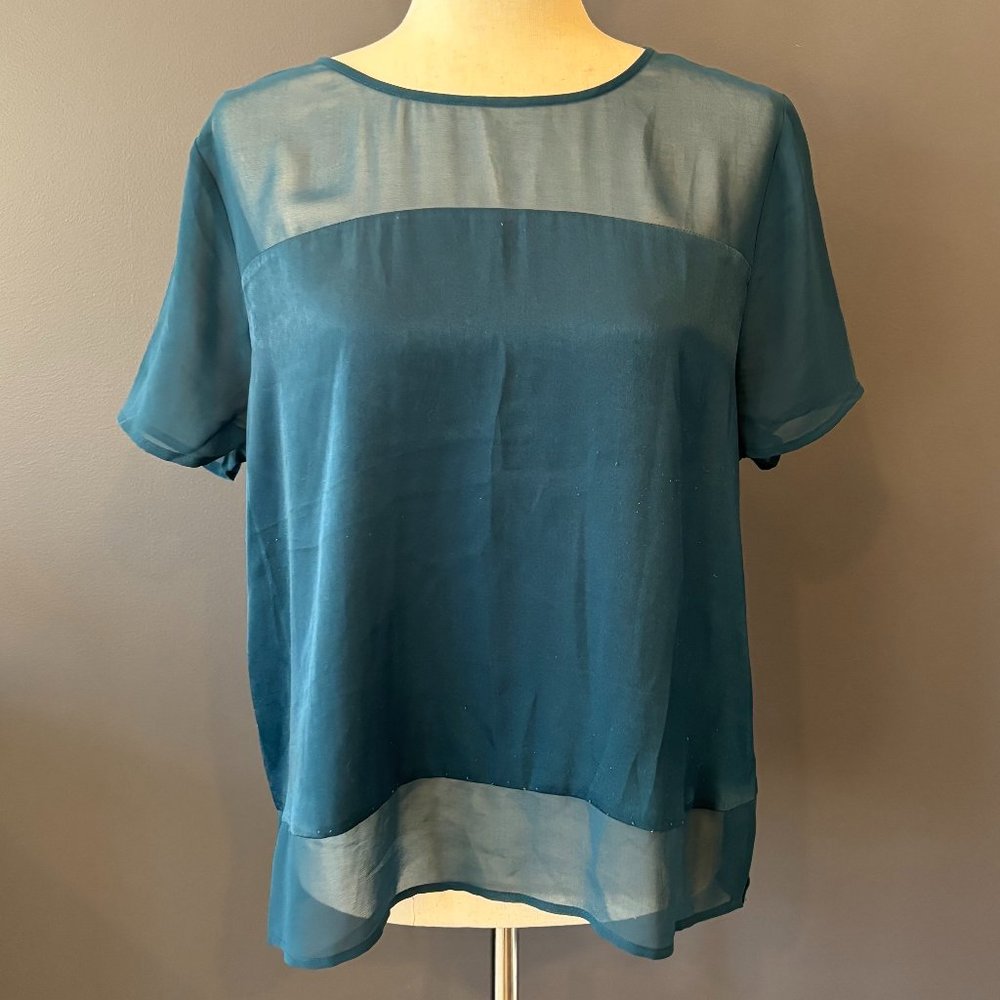 Satin and Sheer Short Sleeve Top